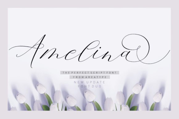 Amelina Duo: A Designer’s First Look