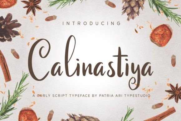 Calinastiya Script Font Review: How It Performs in Real Campaign Visuals