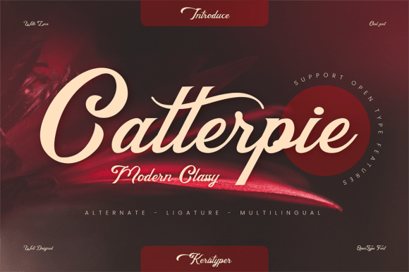 Catterpie: A Designer's Take on This Script Display Font