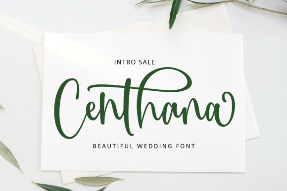 Centhana Script Font: A Designer’s Review After Real Brand Testing