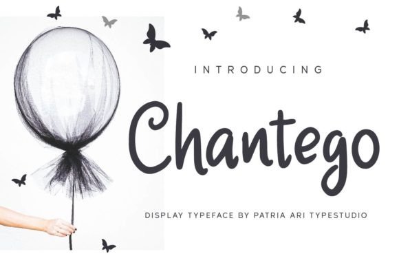 Chantego: A Handwritten Font That Brings Warmth to Web Design
