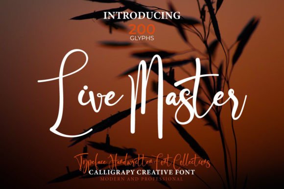 Live Master Gives a Web Design Project That Handcrafted Feel