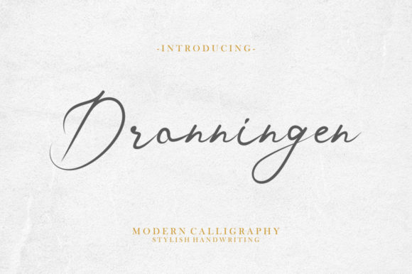 Testing Dronningen Signature for a Modern Web Design Project